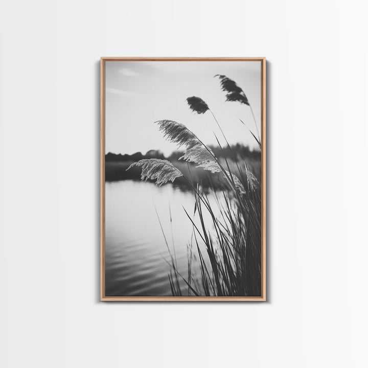 Reed Grass, Gentle Breeze, Black and White Nature, Canvas Print, Minimalist Wall Art, Tranquil Lake Scene, Bedroom Decor