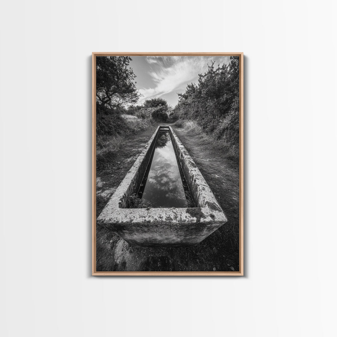 Forest Path, Reflection Pool, Nature Trail Art, Canvas Print, Tranquil Landscape, Boho Wall Decor, Entryway or Hallway Art