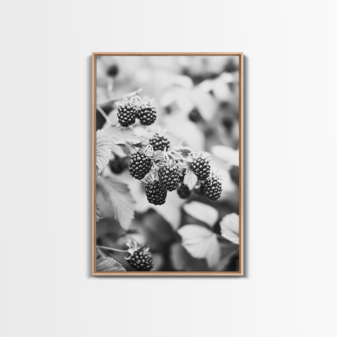 Blackberries in Bloom, Ripe Fruit Closeup, Garden Harvest, Natural Beauty, Framed Canvas Print, Farmhouse Kitchen Art, Fall Decor