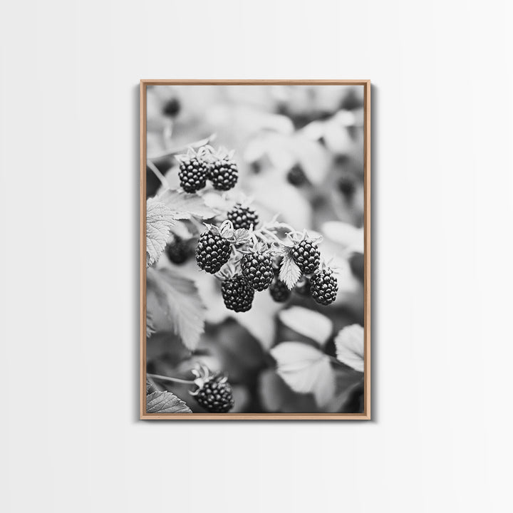 Blackberries in Bloom, Ripe Fruit Closeup, Garden Harvest, Natural Beauty, Framed Canvas Print, Farmhouse Kitchen Art, Fall Decor