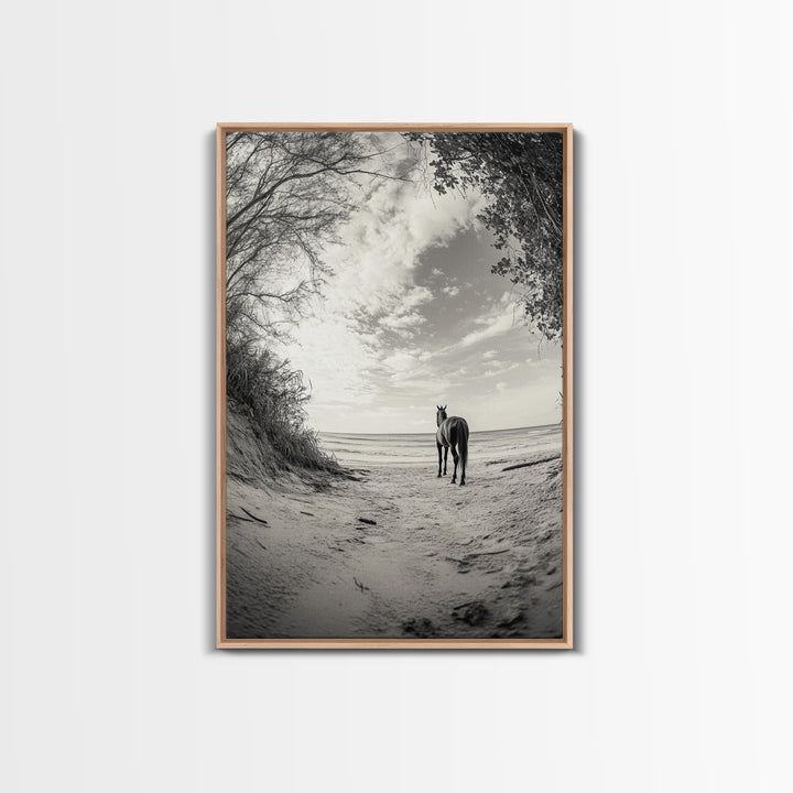 Horse on Shore, Ocean Path Scene, Wild Beauty, Serene Escape, Framed Canvas Print, Boho Wall Art, Bedroom or Entryway Decor
