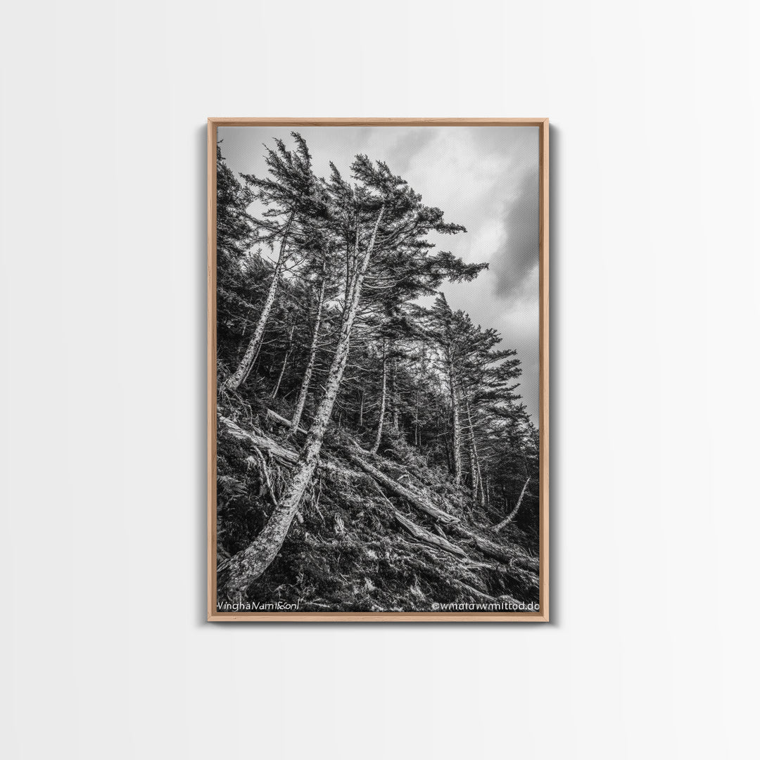 Windy Pines, Forest Landscape, Nature Photography, Framed Canvas Print, Rustic Wall Art, Cabin Decor, Minimalist Art, Fall Home Style