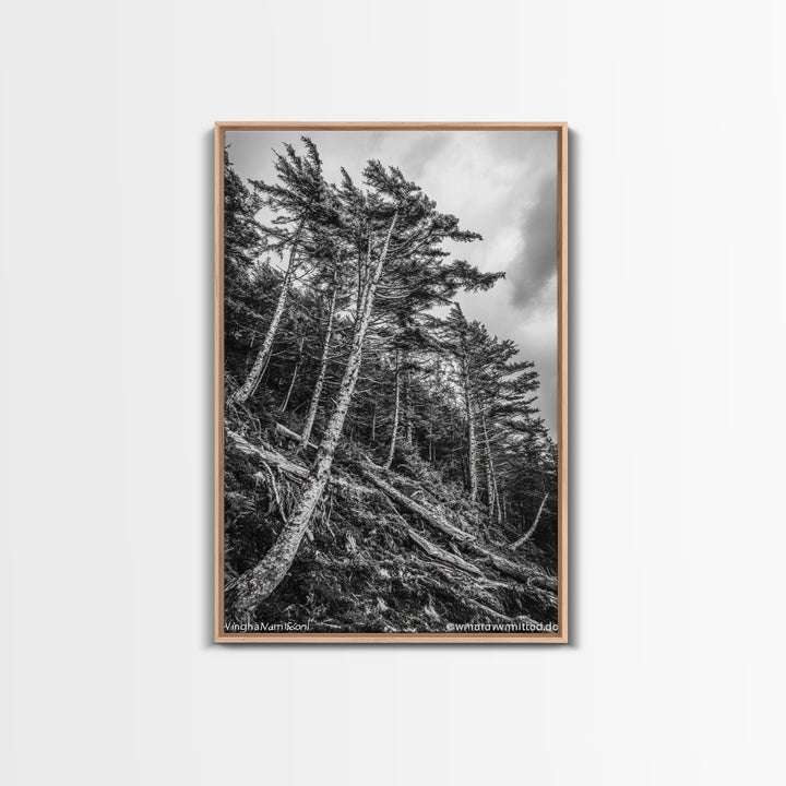 Windy Pines, Forest Landscape, Nature Photography, Framed Canvas Print, Rustic Wall Art, Cabin Decor, Minimalist Art, Fall Home Style