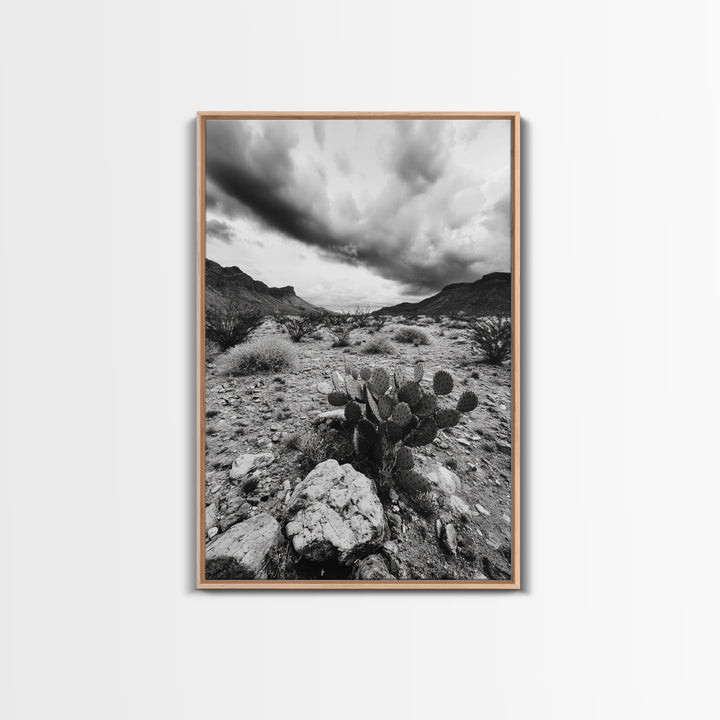 Desert Storm, Cactus Scene, Black White Art, Canvas Print, Southwest Wall Art, Earthy Tones Decor, Boho Style, Entryway Wall Accent