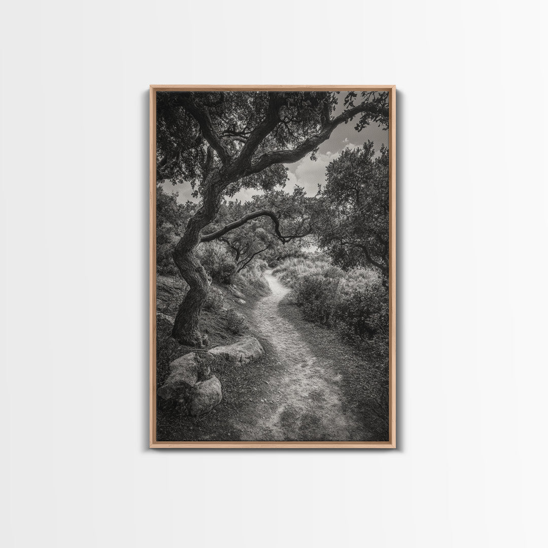 Forest Path, Twisting Trees, Nature Trail Scene, Framed Canvas Print, Earthy Wall Art, Boho Woodland Decor, Entryway or Hallway Accent
