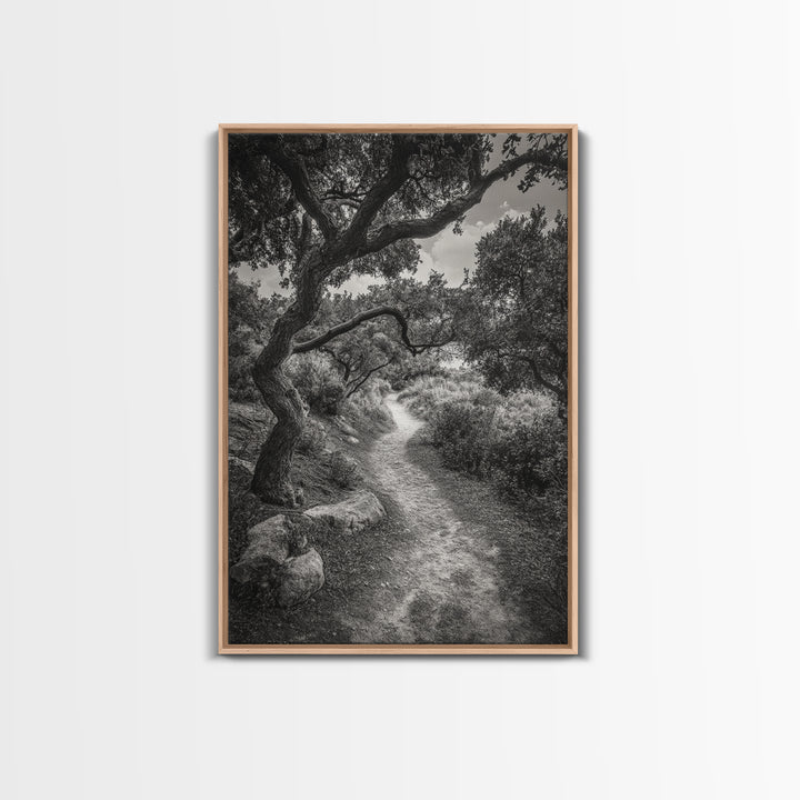 Forest Path, Twisting Trees, Nature Trail Scene, Framed Canvas Print, Earthy Wall Art, Boho Woodland Decor, Entryway or Hallway Accent