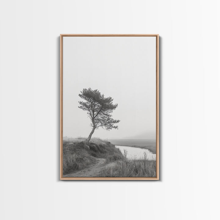 Leaning Tree Path, Soft Fog Scene, Calm Landscape, Canvas Print, Serene Entryway Wall Art, Nature Photography, Minimalist Decor