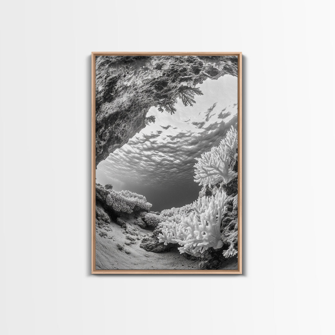 Coral Reef Underwater, Ocean Photography, Marine Nature Scene, Framed Canvas Print, Bathroom Wall Art, Coastal Minimalist Decor