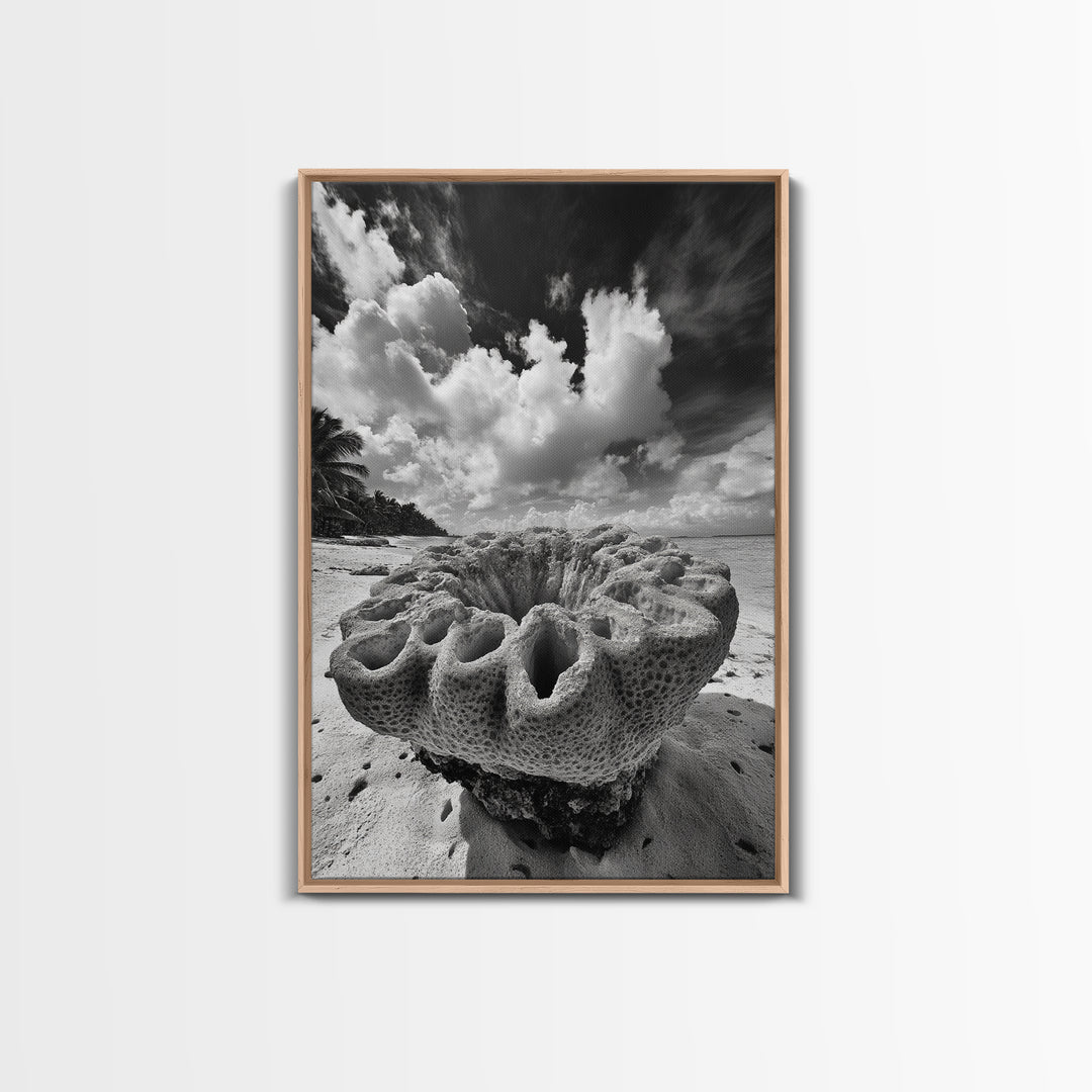 Coral Reef Texture, Ocean Wall Art, Coastal Minimalist, Nature Photography, Framed Canvas Print, Bathroom Wall Decor, Tropical Beach Print