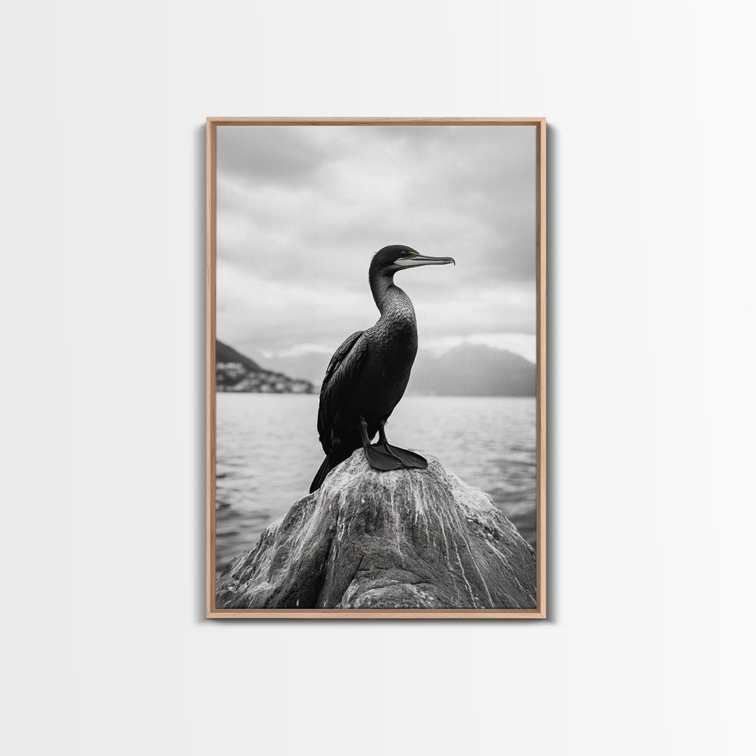 Coastal Bird Portrait, Nature Minimalism, Lake Decor, Monochrome Wildlife, Framed Canvas Print, Bedroom Wall Art, Bird Photography Print
