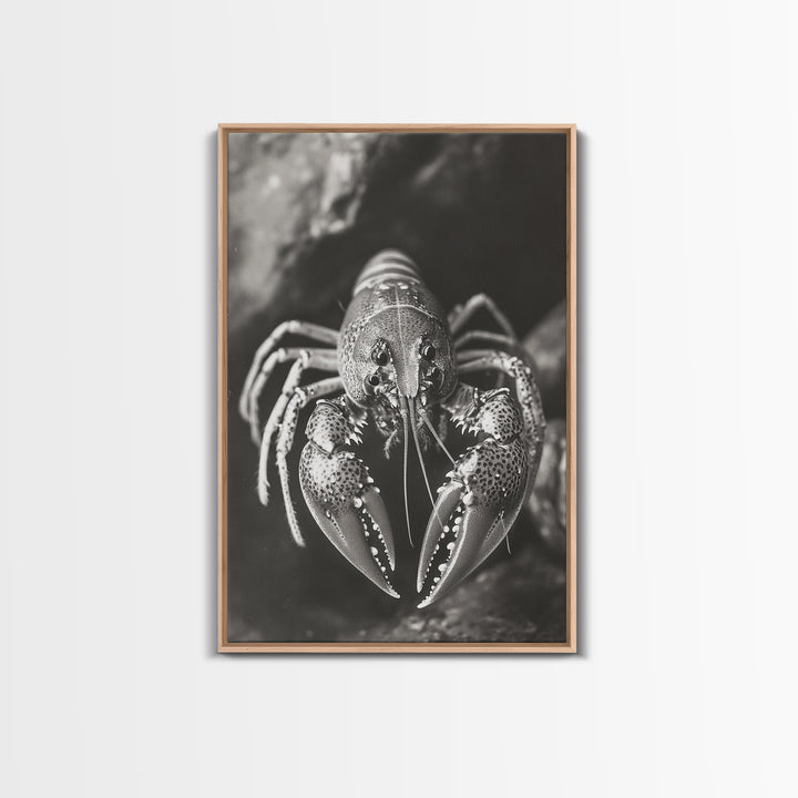 Lobster Close Up, Marine Life Art, Coastal Kitchen Decor, Monochrome Sea Animal, Framed Canvas Print, Ocean Wall Art, Nautical Print