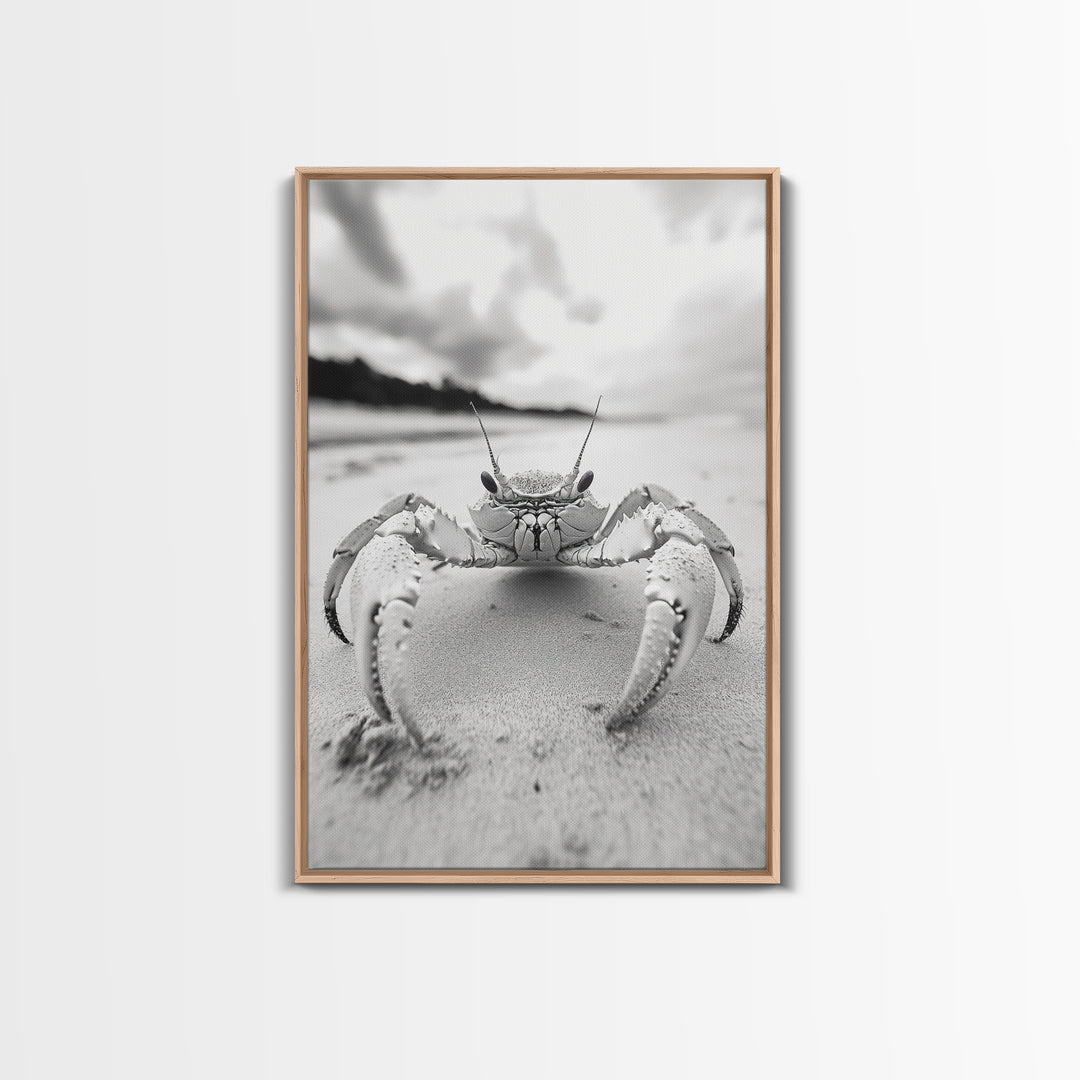 Beach Crab Portrait, Closeup Ocean Art, Tropical Minimalism, Coastal Creature Photo, Framed Canvas Print, Bathroom Wall Decor, Marine Decor