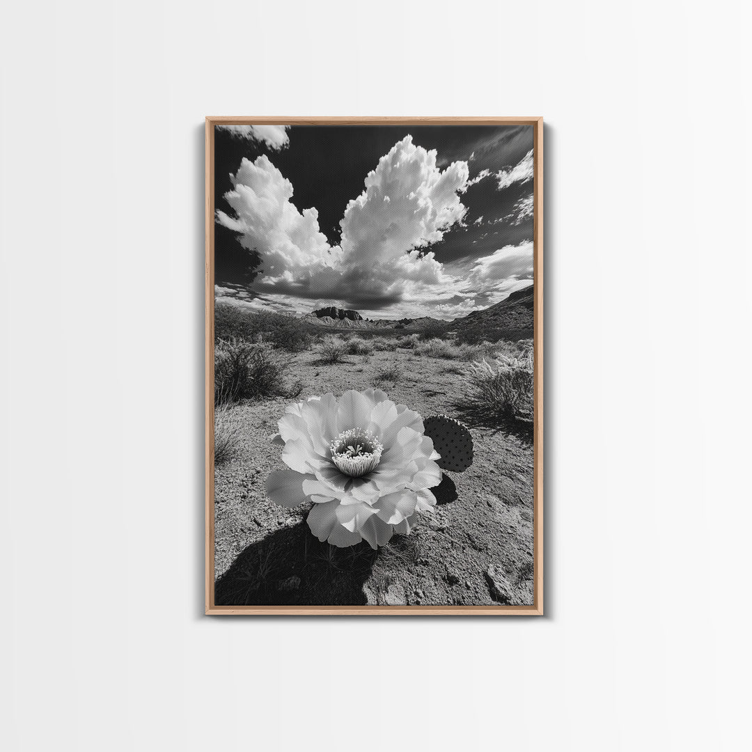 Desert Bloom, Cactus Flower, Bold Nature, Framed Canvas Print, Boho Wall Art, Southwestern Home Decor, Dramatic Desert Photography