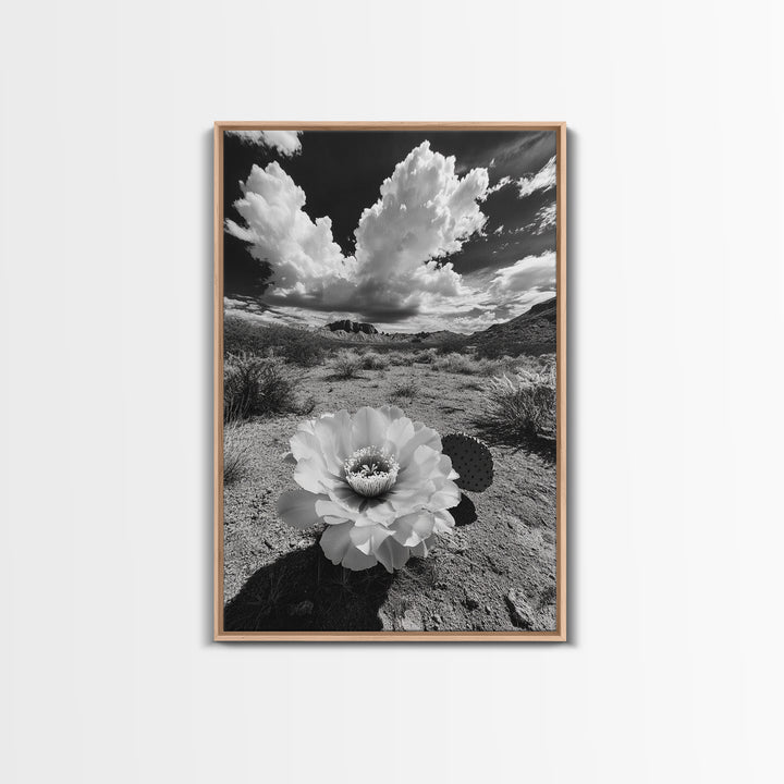 Desert Bloom, Cactus Flower, Bold Nature, Framed Canvas Print, Boho Wall Art, Southwestern Home Decor, Dramatic Desert Photography