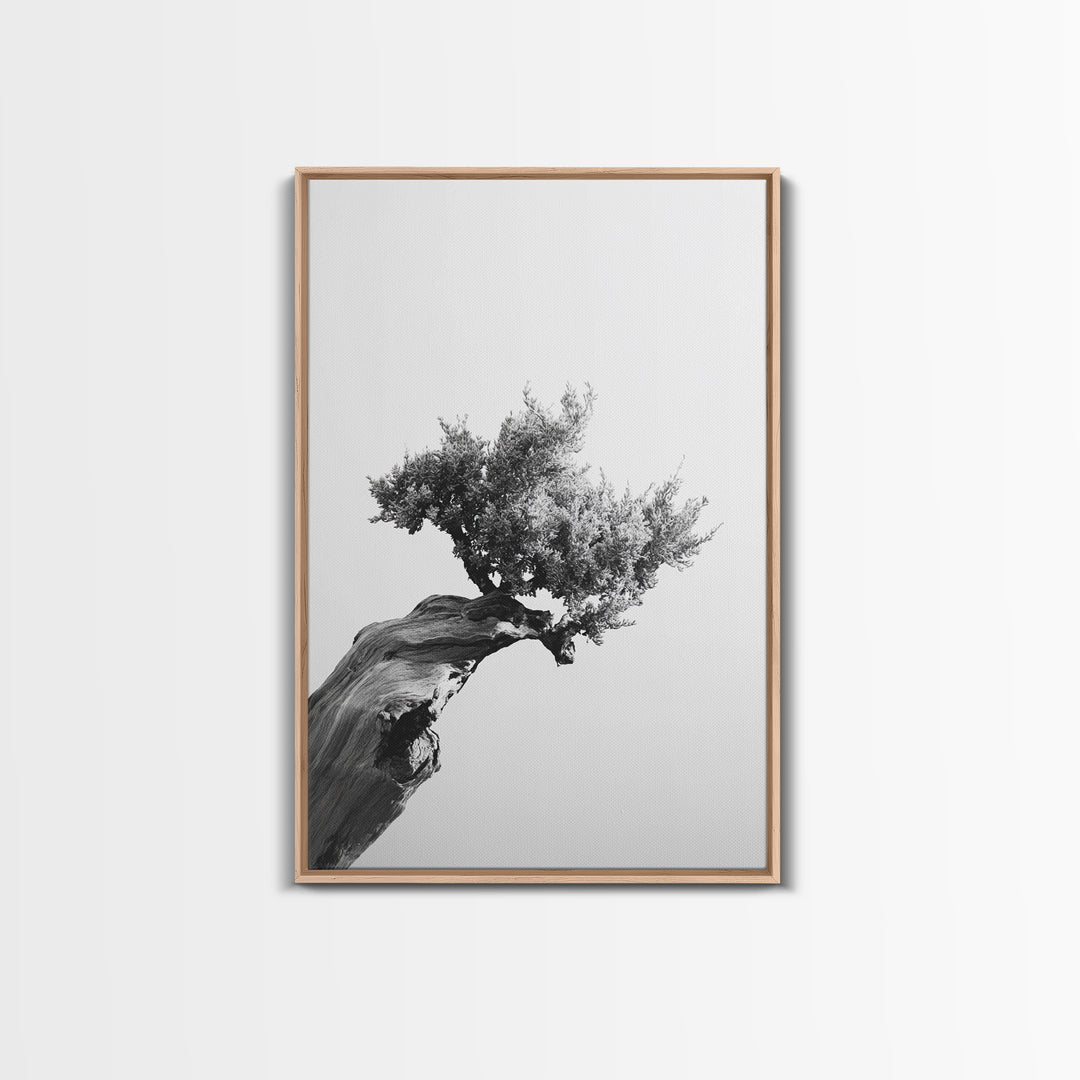 Bonsai Tree, Windswept Wood, Minimal Zen, Canvas Print, Japanese Style Art, Wabi Sabi Decor, Monochrome Botanical Wall Accent