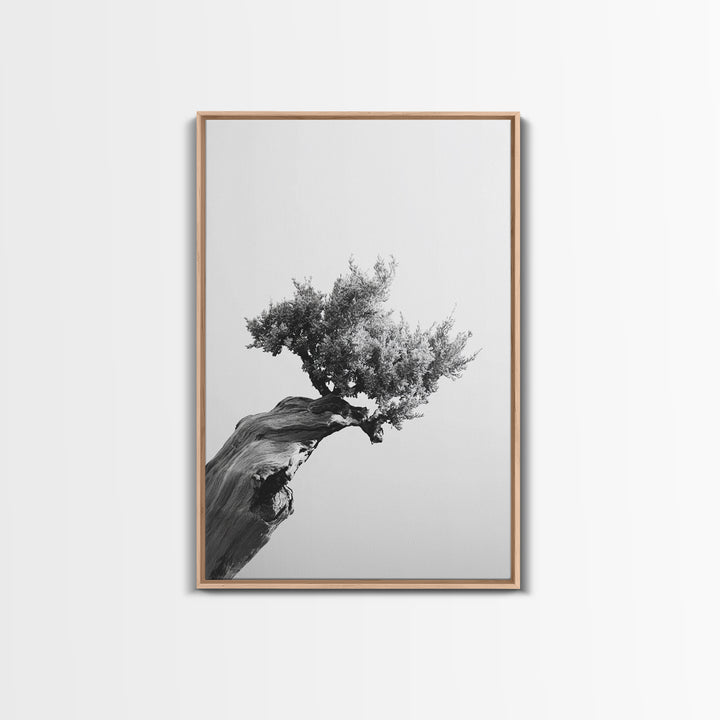 Bonsai Tree, Windswept Wood, Minimal Zen, Canvas Print, Japanese Style Art, Wabi Sabi Decor, Monochrome Botanical Wall Accent