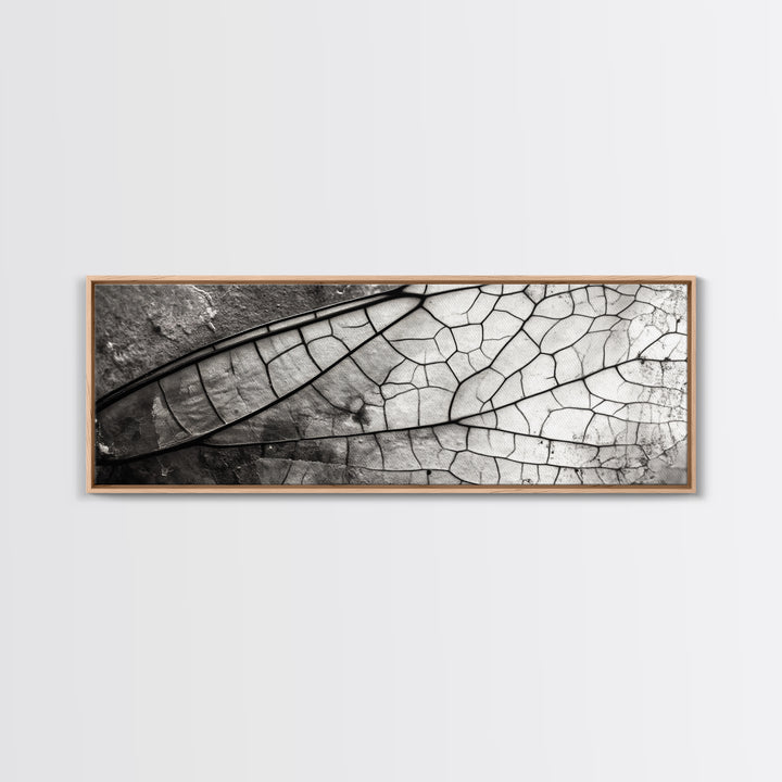 Macro Insect Wing, Abstract Nature Texture, Modern Neutral Wall Decor, Framed Canvas Print, Office Art, Monochrome Macro Photography