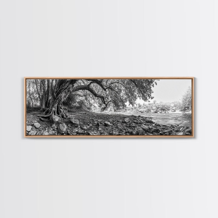 River Tree Roots, Tranquil Forest Landscape, Nature Wall Decor, Framed Canvas Print, Living Room Art, Black and White Earthy Style