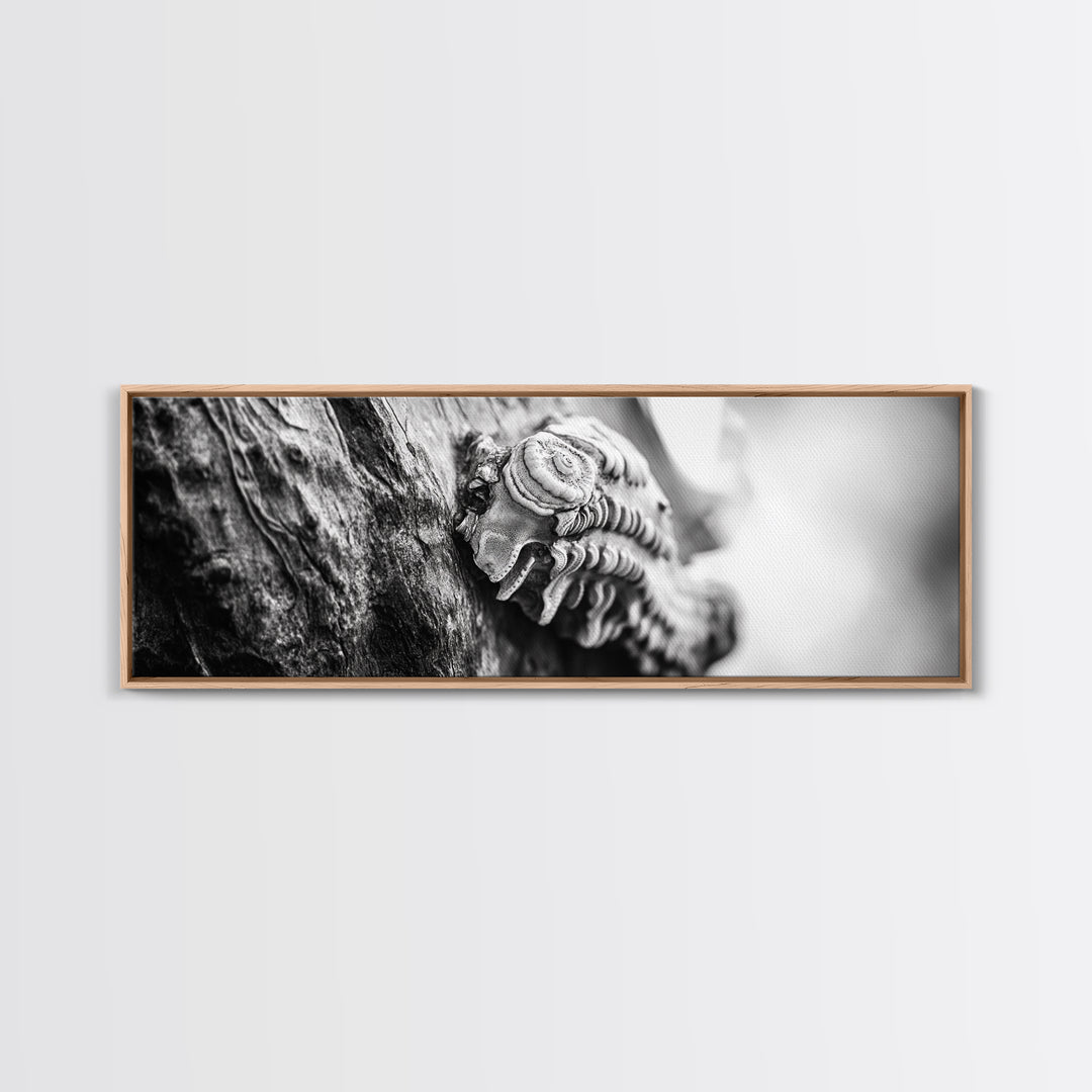 Tree Fungus, Natural Texture, Close-Up Growth, Wood Grain, Framed Canvas Print, Nature Wall Art, Boho Bedroom Decor, Botanical Print