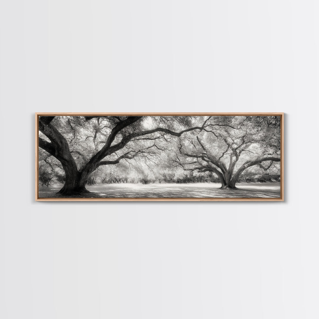 Sprawling Trees, Oak Forest, Sunlit Canopy, Majestic Branches, Canvas Print, Nature Wall Art, Boho Decor, Living Room Statement Piece