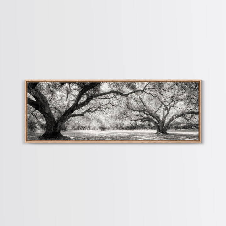 Sprawling Trees, Oak Forest, Sunlit Canopy, Majestic Branches, Canvas Print, Nature Wall Art, Boho Decor, Living Room Statement Piece
