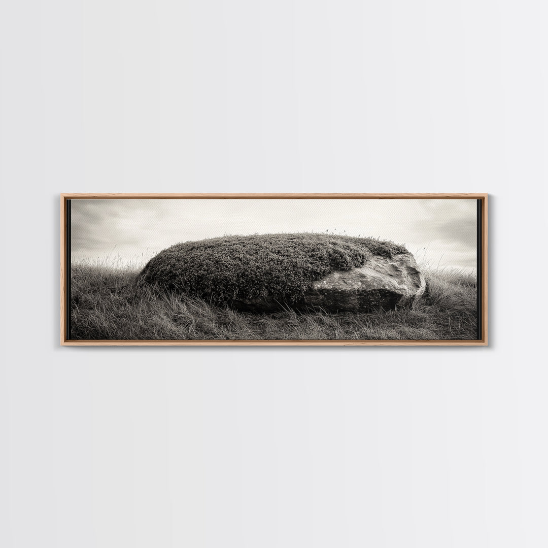 Heather Rock, Grassy Field, Natural Simplicity, Earthy Tones, Canvas Print, Rustic Home Decor, Minimalist Nature Wall Art, Fall Inspired Art