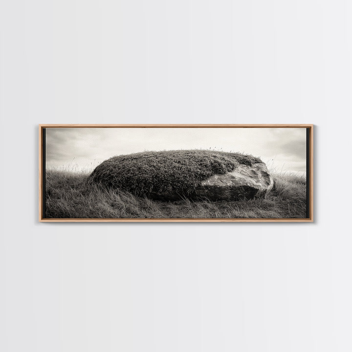 Heather Rock, Grassy Field, Natural Simplicity, Earthy Tones, Canvas Print, Rustic Home Decor, Minimalist Nature Wall Art, Fall Inspired Art