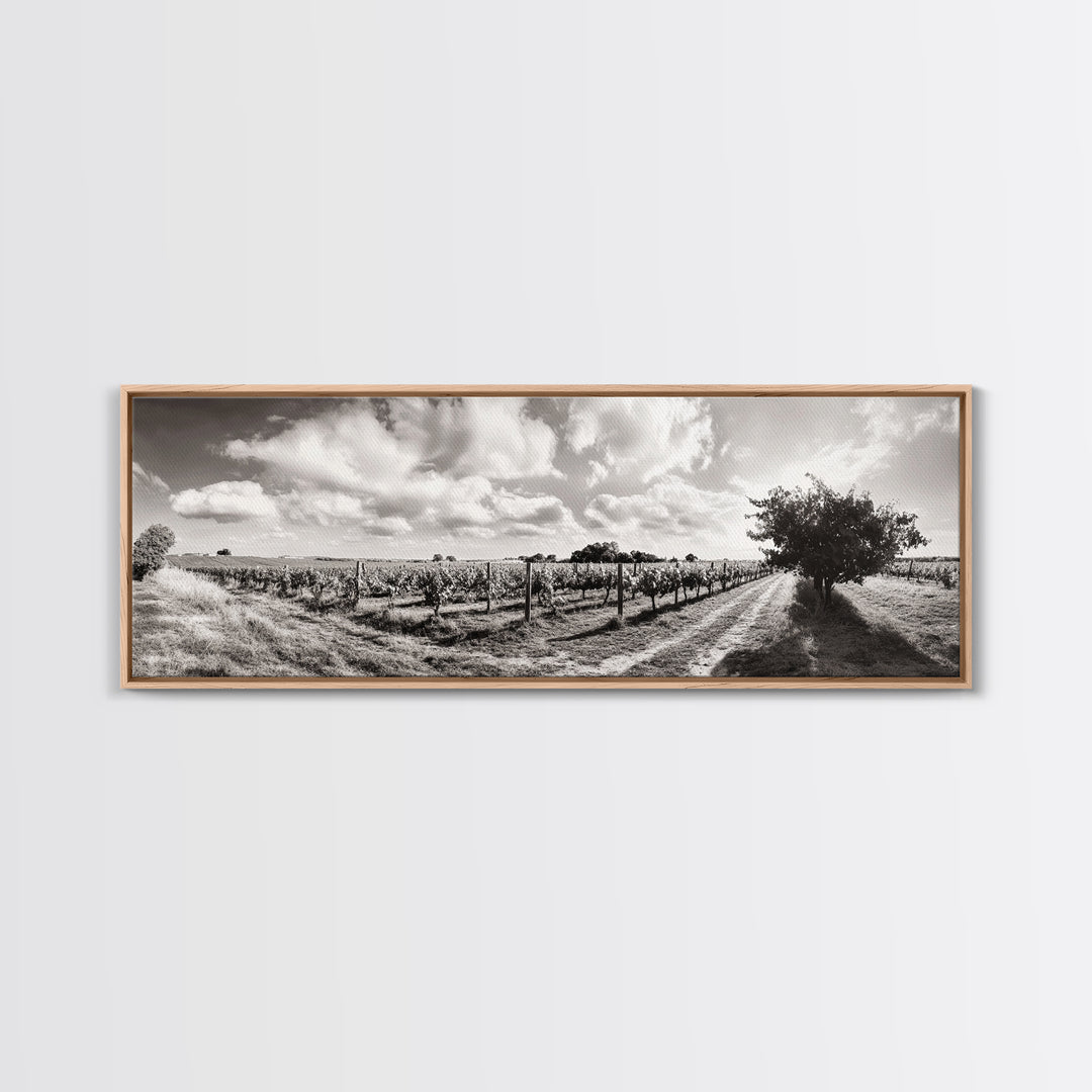 Vineyard Rows, Sunny Fields, Cloudy Sky, Canvas Print, Rustic Country Decor, Dining Room Wall Art, Wine Country Landscape, Farmhouse Style