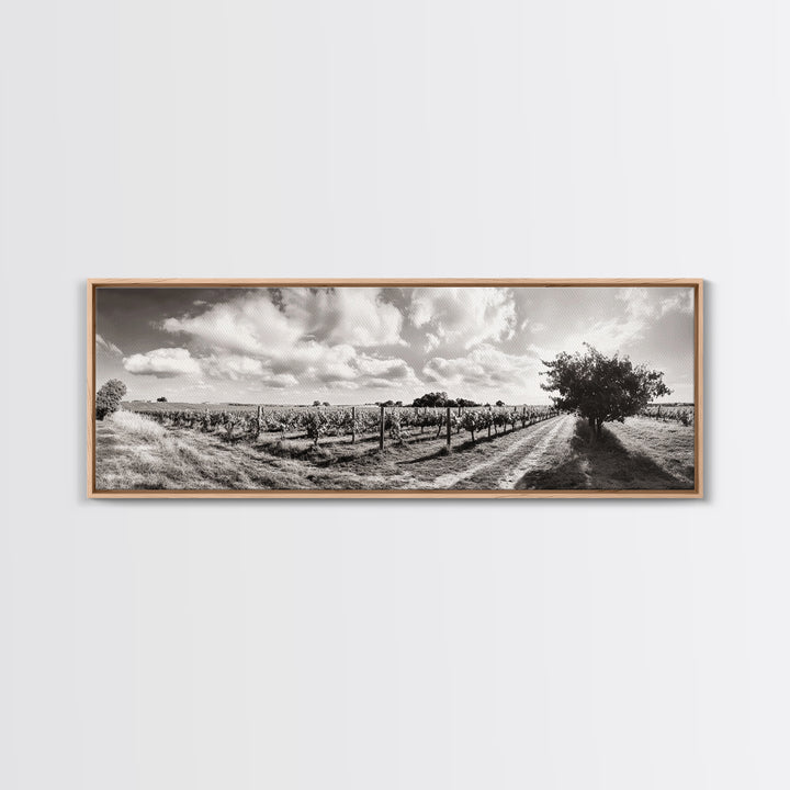 Vineyard Rows, Sunny Fields, Cloudy Sky, Canvas Print, Rustic Country Decor, Dining Room Wall Art, Wine Country Landscape, Farmhouse Style