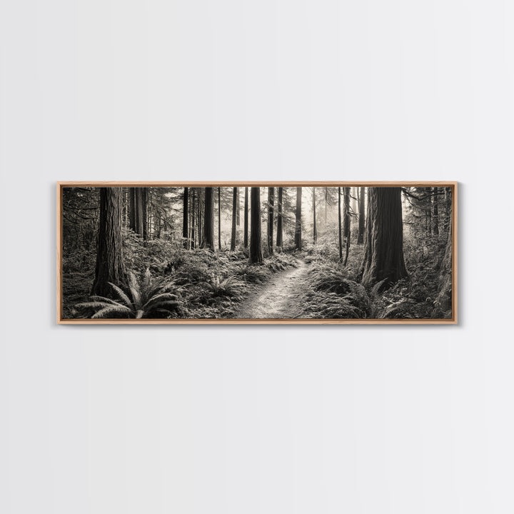 Redwood Forest, Nature Path, Fern Understory, Framed Canvas Print, Moody Nature Photography, Office Wall Art, Forest Bathing Vibes