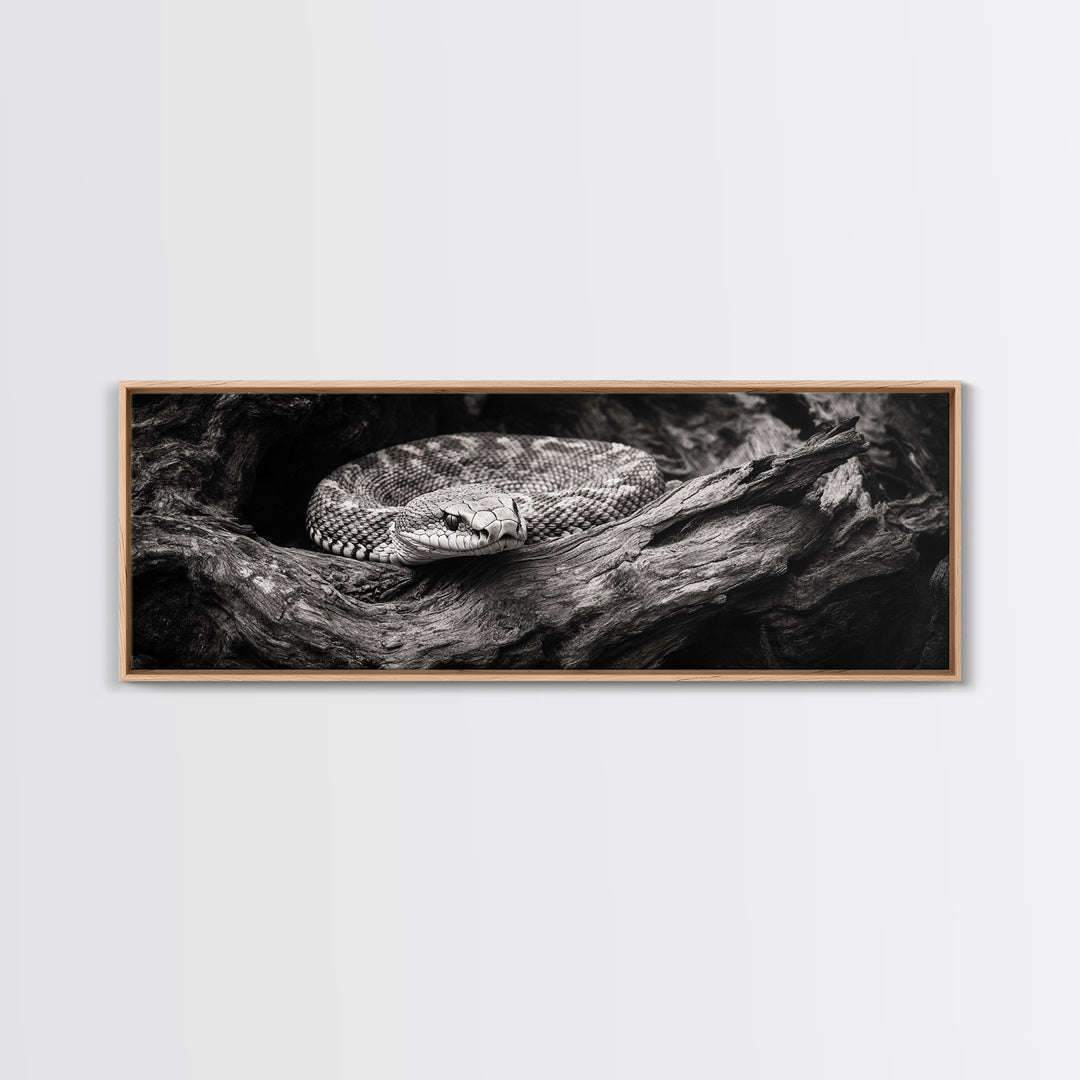 Coiled Rattlesnake, Wild Nature, Black and White, Canvas Print, Rustic Decor, Man Cave Wall Art, Cabin Style, Animal Photography, Moody Art