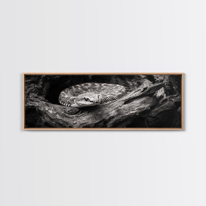 Coiled Rattlesnake, Wild Nature, Black and White, Canvas Print, Rustic Decor, Man Cave Wall Art, Cabin Style, Animal Photography, Moody Art