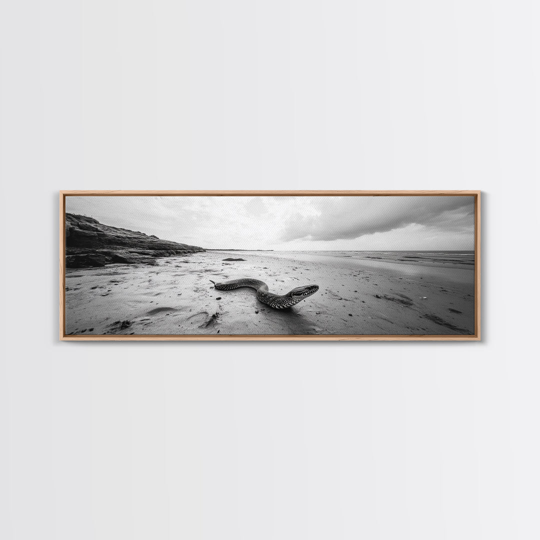 Snake On Beach, Coastal Wildlife, Dramatic Black and White, Framed Canvas Print, Nature Wall Art, Minimalist Decor, Office Statement Art