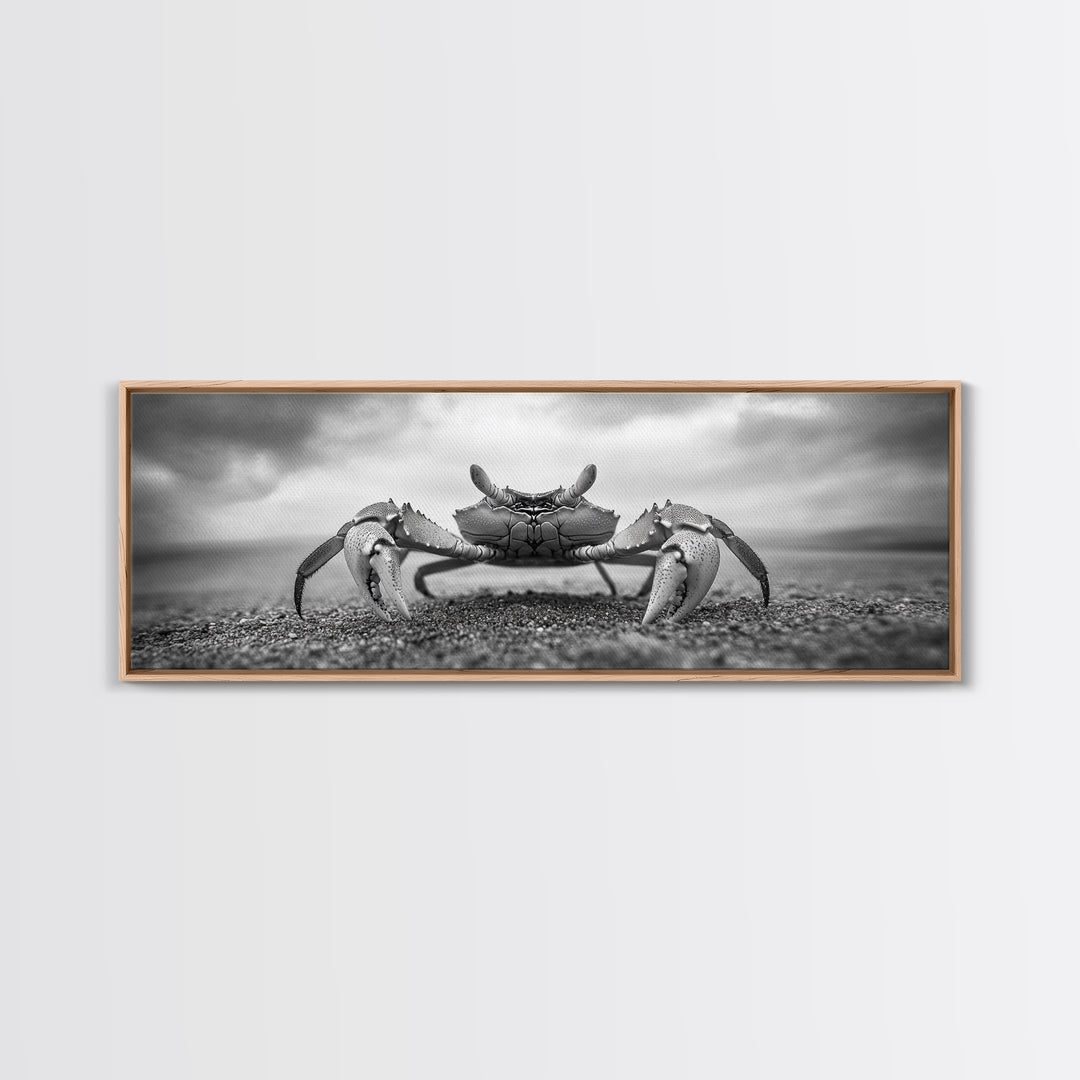 Closeup Crab, Coastal Creature, Dramatic Sand, Framed Canvas Print, Beach Wall Art, Nautical Bathroom Decor, Ocean Nature Photo