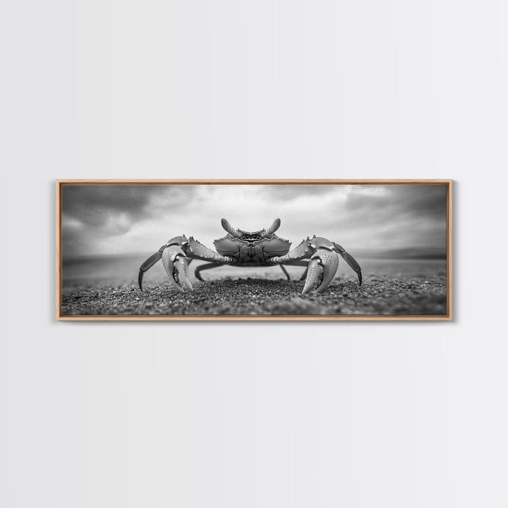 Closeup Crab, Coastal Creature, Dramatic Sand, Framed Canvas Print, Beach Wall Art, Nautical Bathroom Decor, Ocean Nature Photo