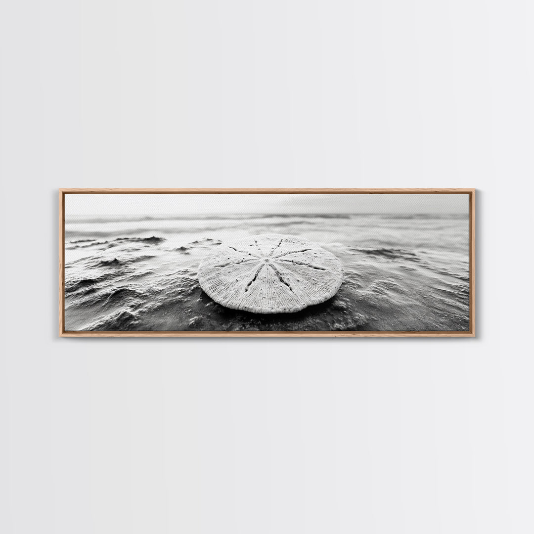 Sand Dollar, Ocean Shore, Calm Waters, Canvas Print, Coastal Wall Art, Minimalist Bathroom Decor, Seashell Beach Photography