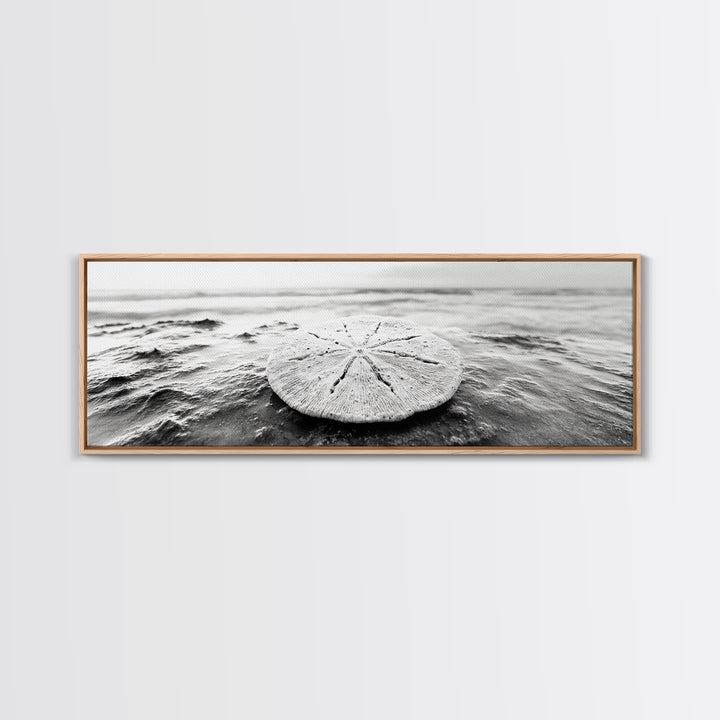 Sand Dollar, Ocean Shore, Calm Waters, Canvas Print, Coastal Wall Art, Minimalist Bathroom Decor, Seashell Beach Photography