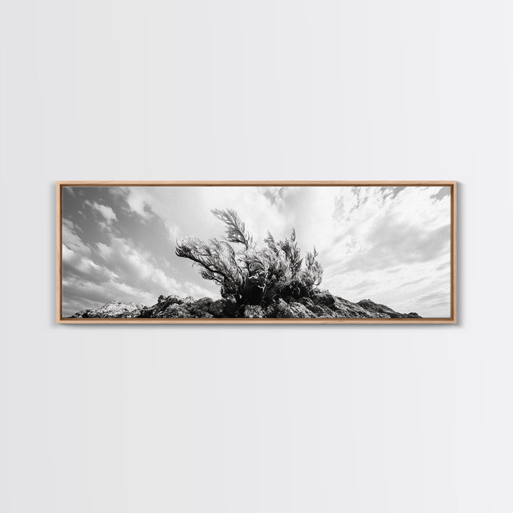 Windswept Kelp Rock, Ocean Botanical, Nature Inspired Canvas Print, Boho Style Art, Bathroom Wall Art, Sea Life Photography