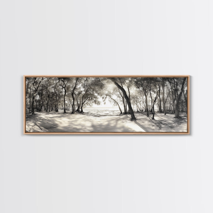 Dreamy Beach Forest, Sepia Trees, Canvas Print, Nature Wall Decor, Fall Bedroom Art, Rustic Woodland Landscape, Tree Shadow Light