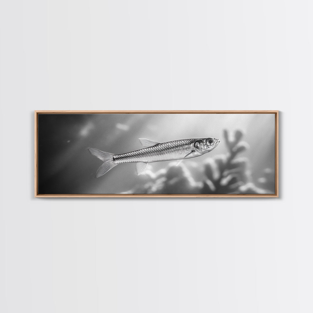 Silver Fish Closeup, Underwater Life, Marine Wildlife Art, Black and White Framed Canvas Print, Coastal Bathroom or Den Wall Art
