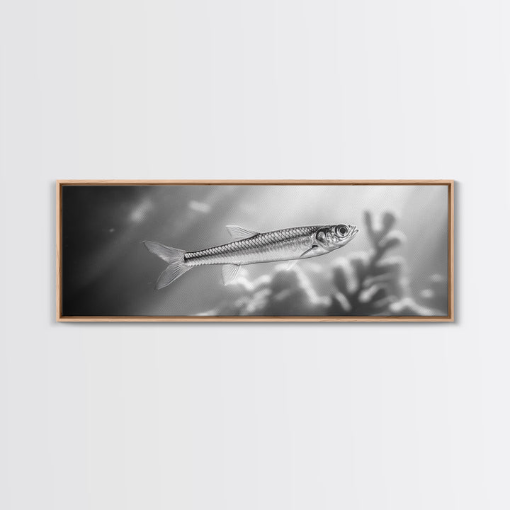 Silver Fish Closeup, Underwater Life, Marine Wildlife Art, Black and White Framed Canvas Print, Coastal Bathroom or Den Wall Art