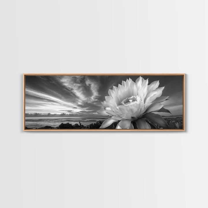 Desert Bloom Flower, Coastal Cactus Sunrise, Nature Canvas Print, Southwestern Wall Art, Boho Bathroom or Bedroom Decor