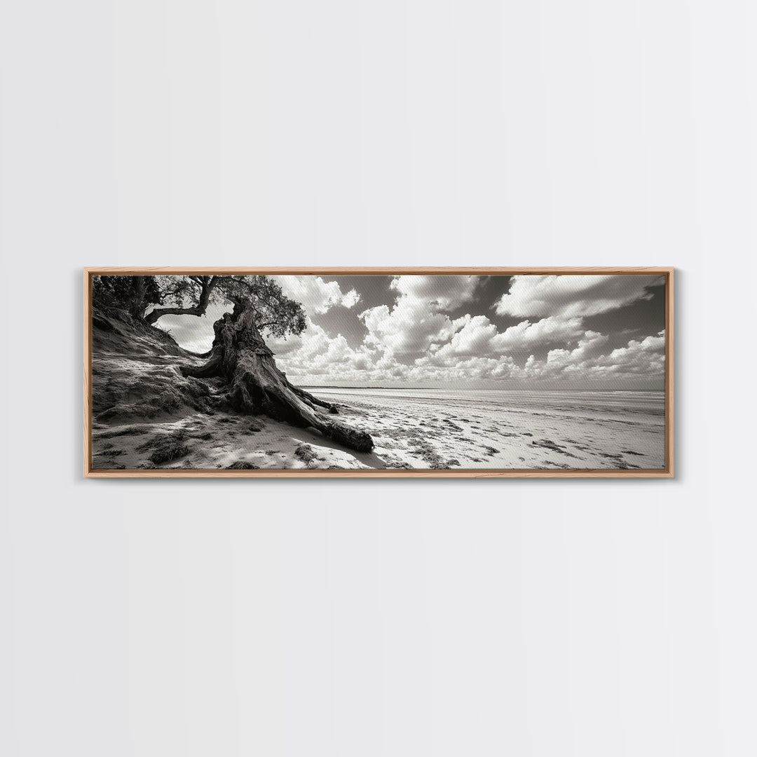 Coastal Tree Roots, Windswept Beach, Natural Form, Framed Canvas Print, Boho Wall Art, Entryway Decor, Beach House Aesthetic