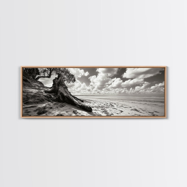 Coastal Tree Roots, Windswept Beach, Natural Form, Framed Canvas Print, Boho Wall Art, Entryway Decor, Beach House Aesthetic