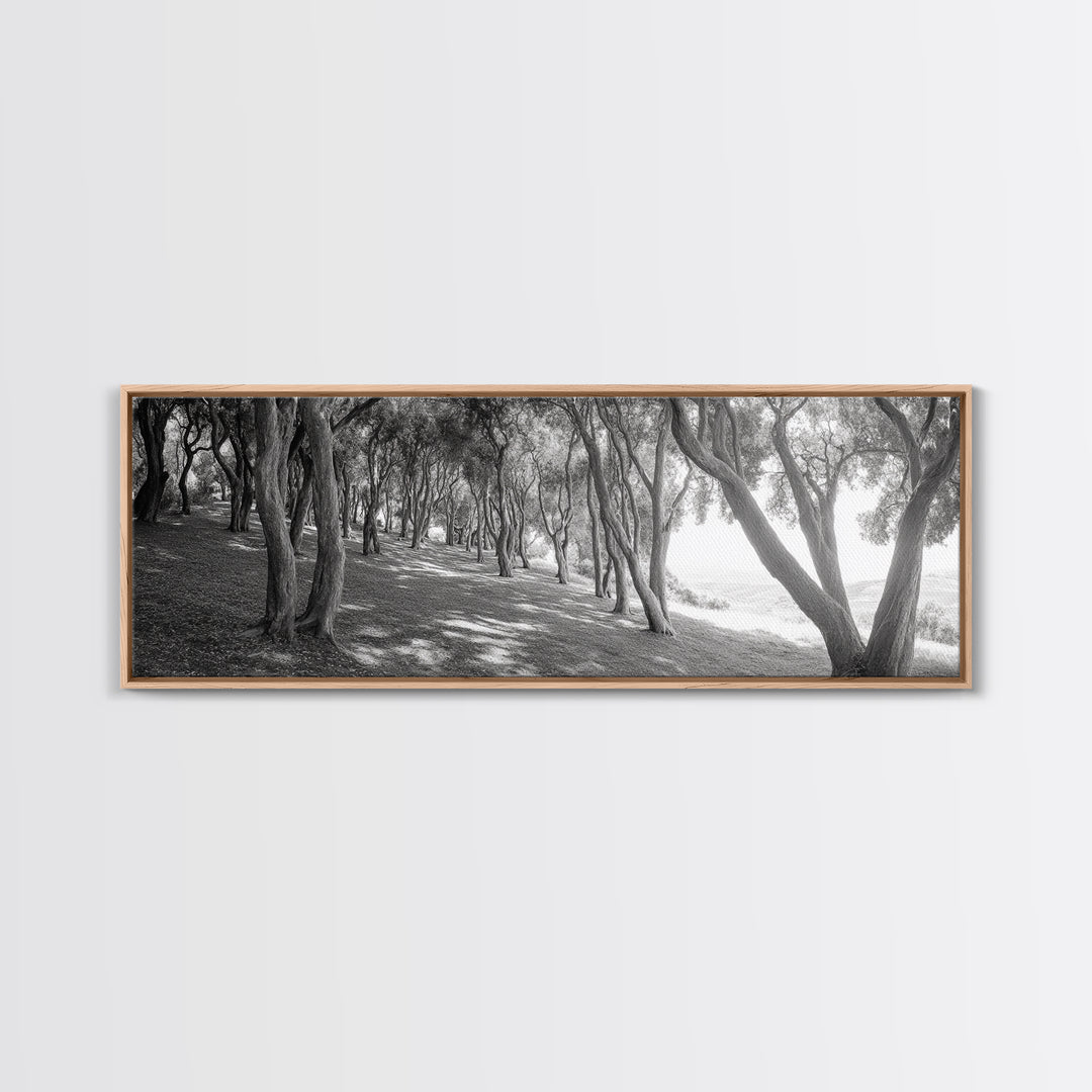 Forest Path, Tree Tunnel, Light Shadows, Woodland Magic, Framed Canvas Print, Nature Lover Gift, Entryway Wall Art, Modern Rustic Style