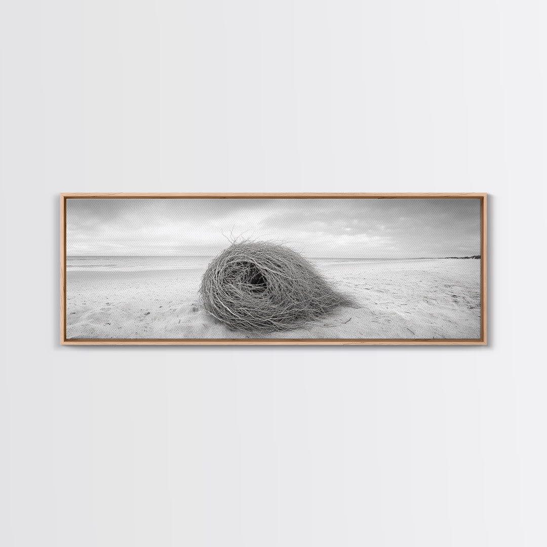 Tumbleweed Nest, Desert Beach, Natural Sculpture, Coastal Simplicity, Canvas Print, Modern Boho Wall Art, Neutral Home Aesthetic