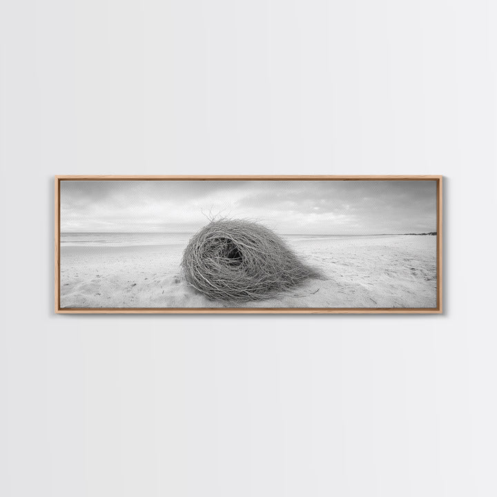 Tumbleweed Nest, Desert Beach, Natural Sculpture, Coastal Simplicity, Canvas Print, Modern Boho Wall Art, Neutral Home Aesthetic