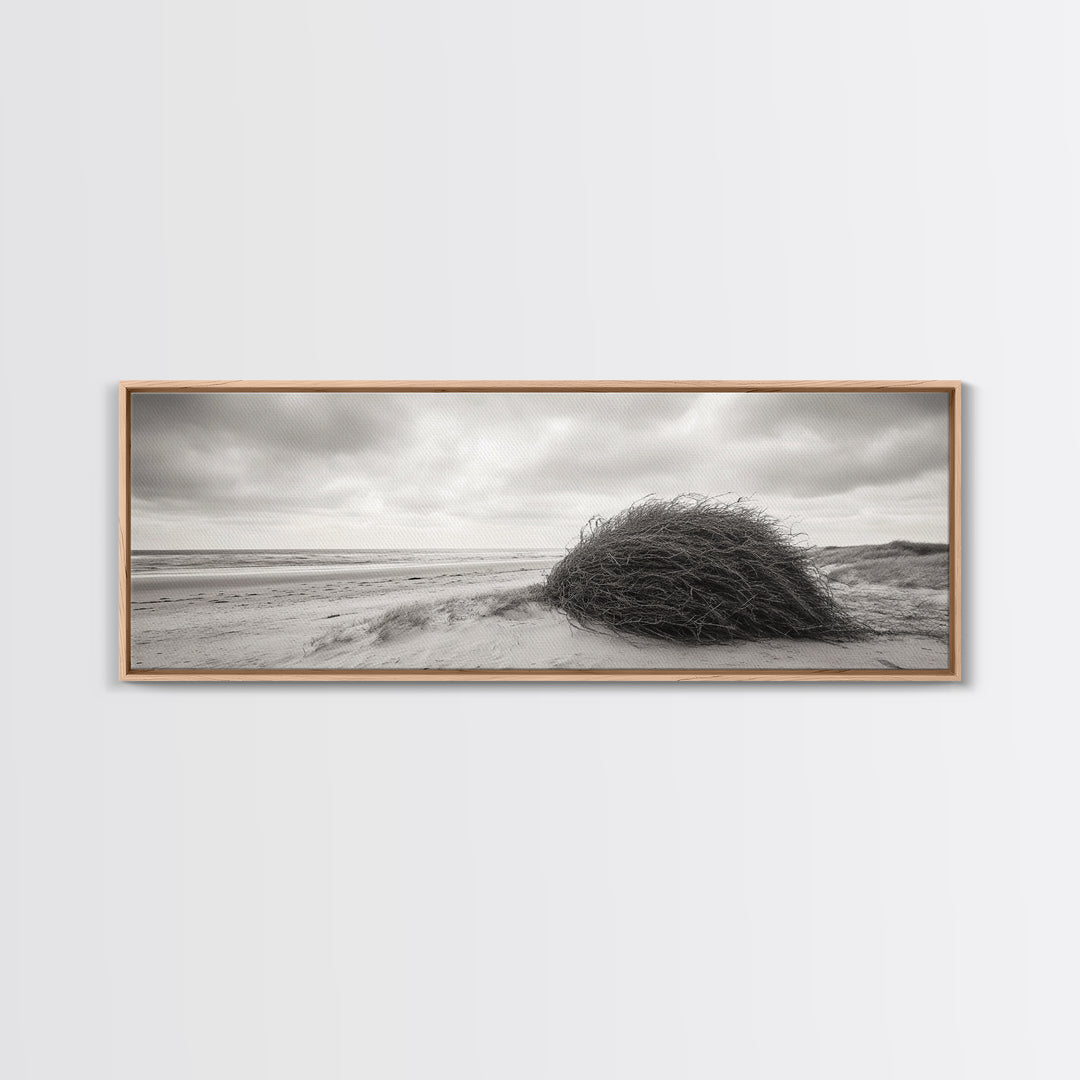 Windswept Dunes, Coastal Brush, Tumbleweed Form, Beach Nature, Framed Canvas Print, Fall Wall Art, Rustic Decor, Neutral Bedroom Style