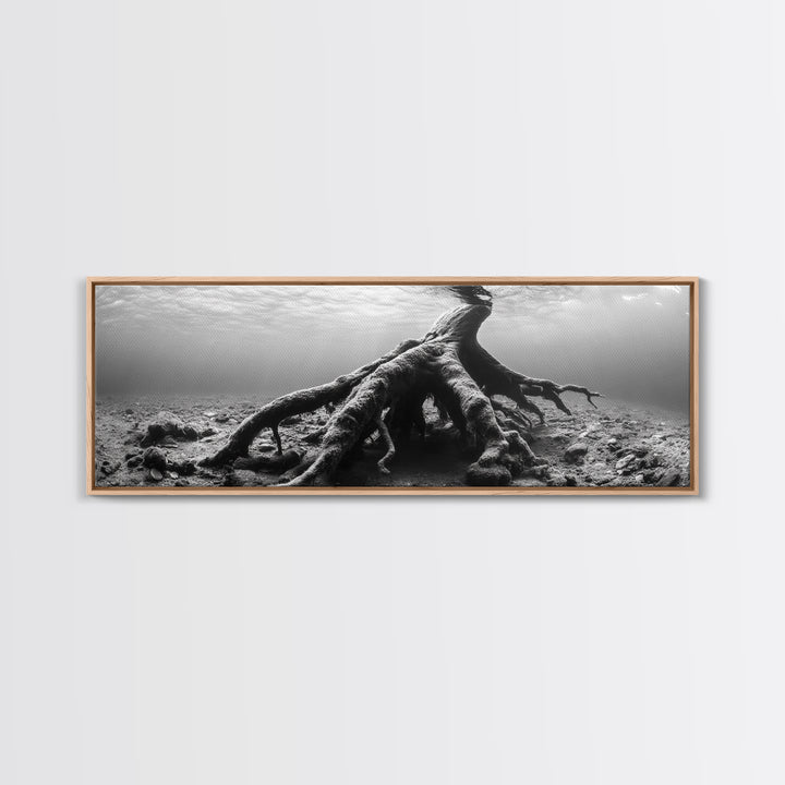 Ancient Roots, Submerged Tree, Nature Photography, Black and White, Canvas Print, Minimalist Underwater Art, Office Wall Art, Moody Decor