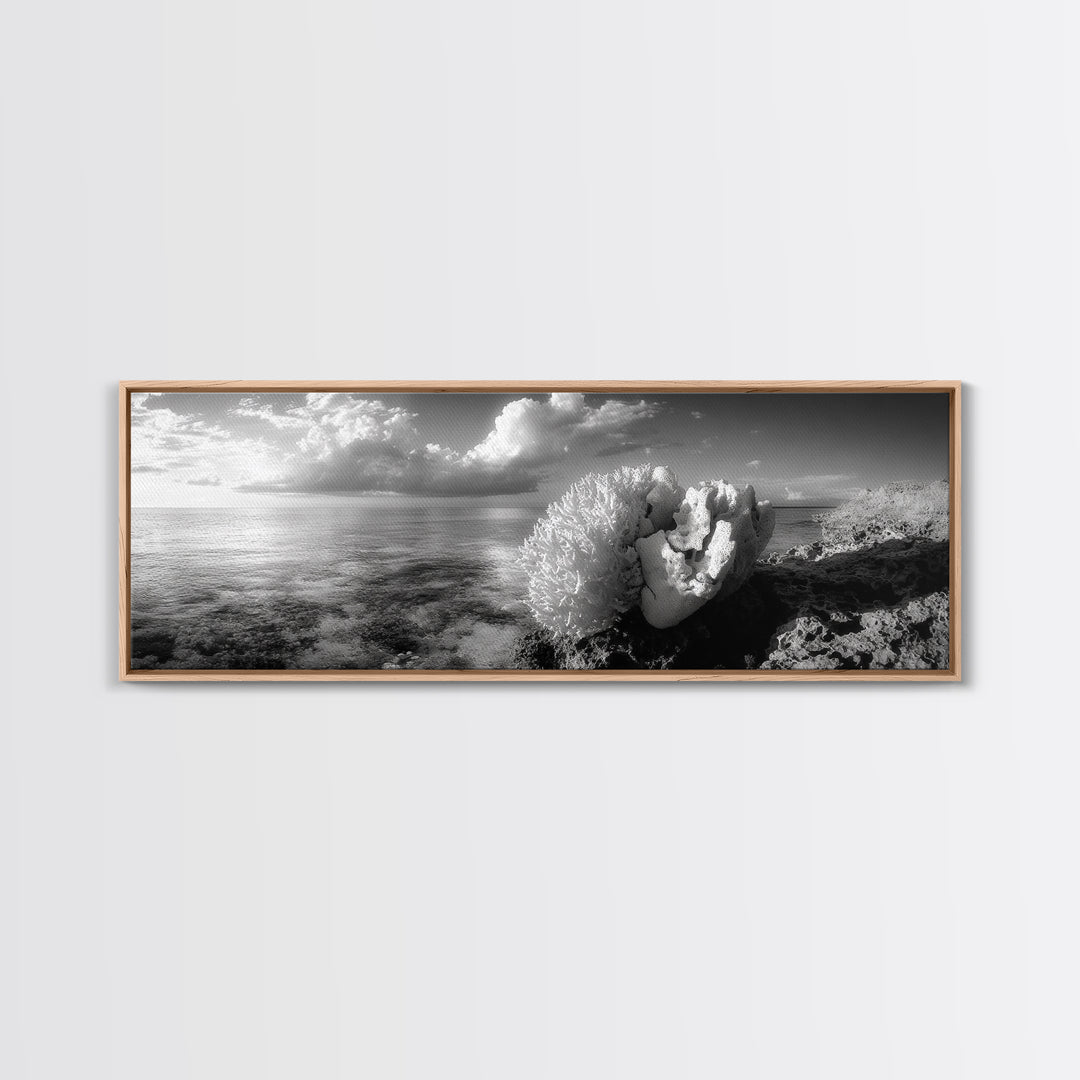 Sea Coral, Calm Ocean, Reef Textures, Framed Canvas Print, Coastal Bathroom Art, Monochrome Ocean Decor, Nature Photography Accent